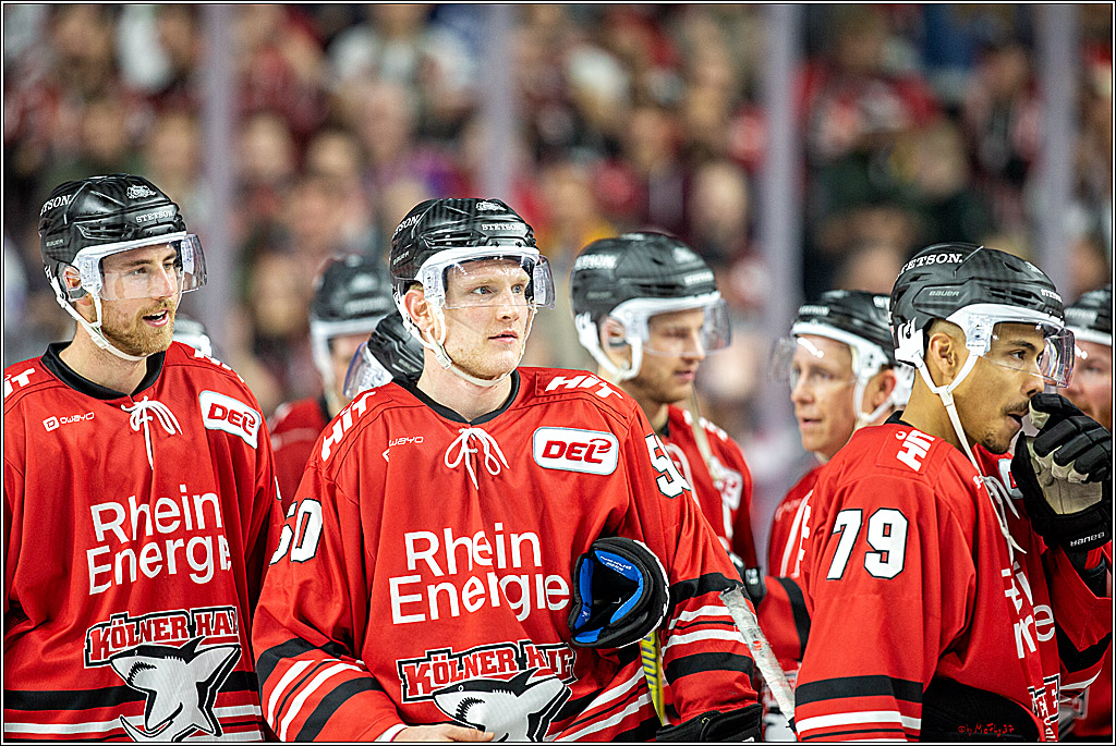 DEL; Koelner Haie - Duesseldorfer eG;; Koeln, 20.10.2019